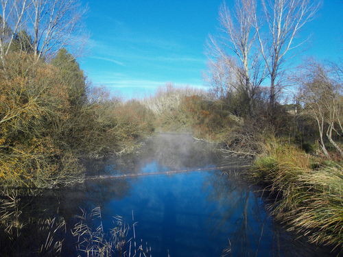 Ruta Bolinches